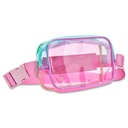 Color Block Clear Belt Bag