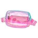 Color Block Clear Belt Bag