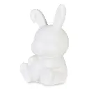 770-504-PAINT-YOUR-ONE-BUNNY-LT-LG.webp