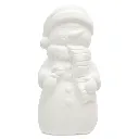 770-535-PAINT-YOUR-ONE-SNOWMAN-FRONT-LG.webp