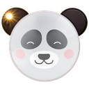 Panda Light-Up Mirror