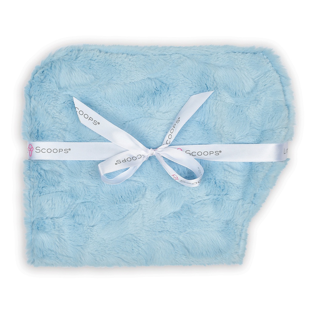 [450-012] Little Scoops Blue Set of 2 Burp Cloths