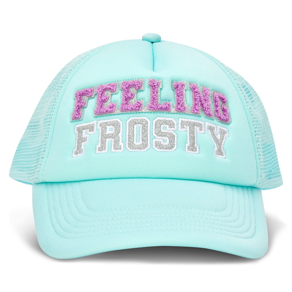 [820-3348] Feeling Frosty Trucker Hat