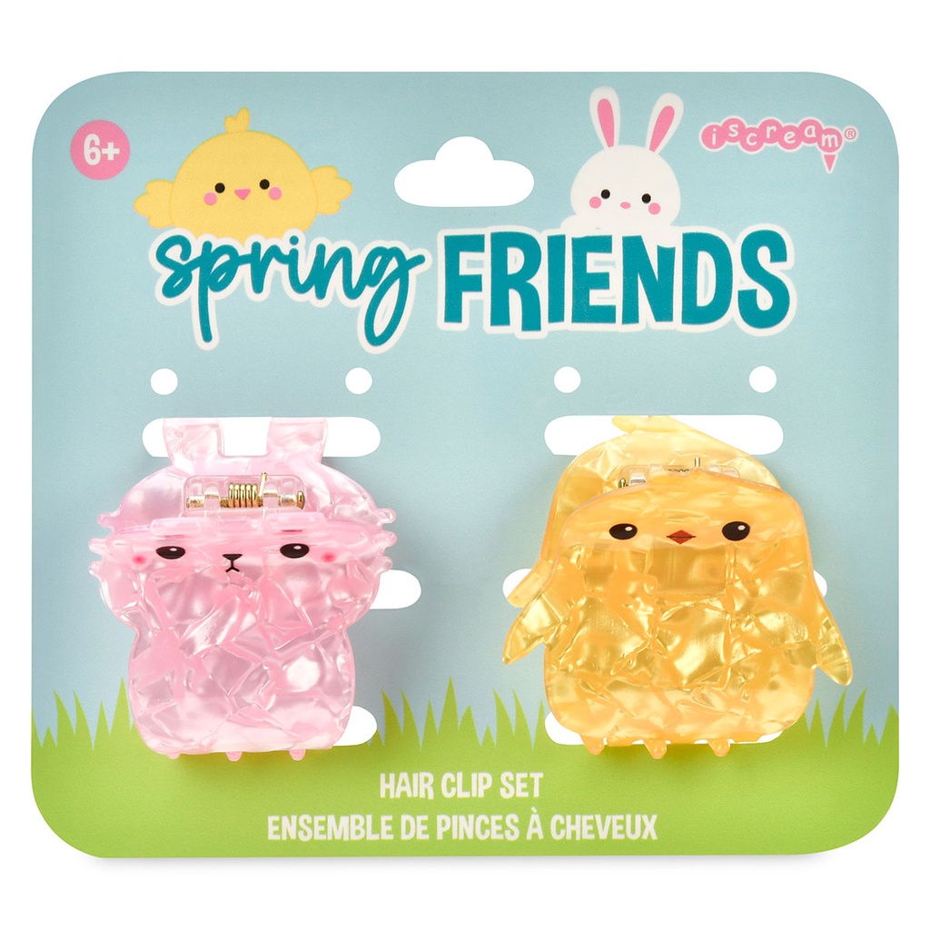 Spring Friends Hair Clips Set