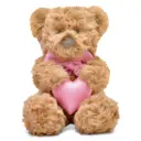 Bella Bear Plush
