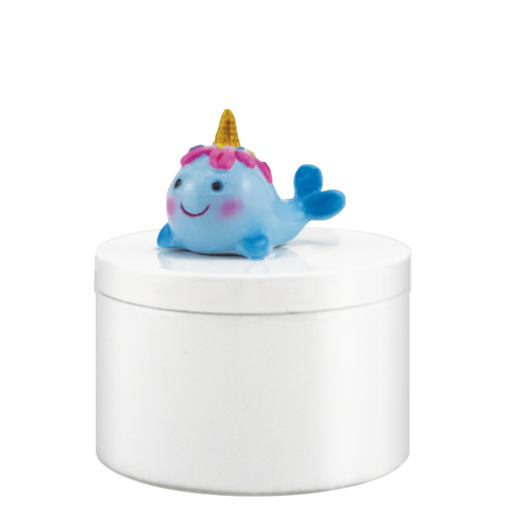 Narwhal Jewelry Box