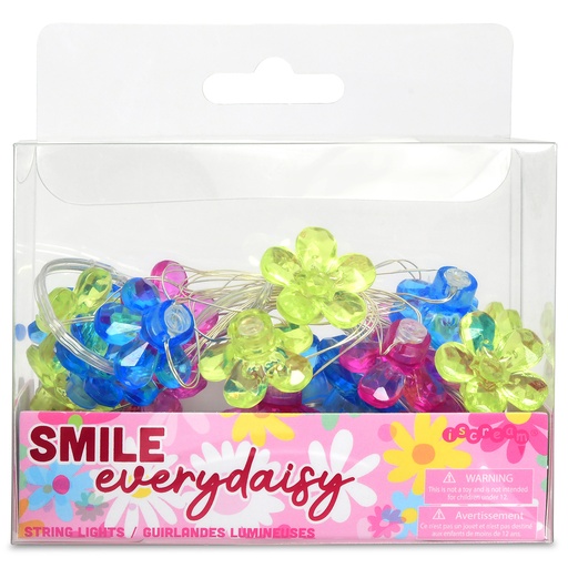 [865-162] Smile Every Daisy String Lights