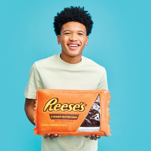 [780-4055] Reese's Peanut Butter Cups Packaging Plush